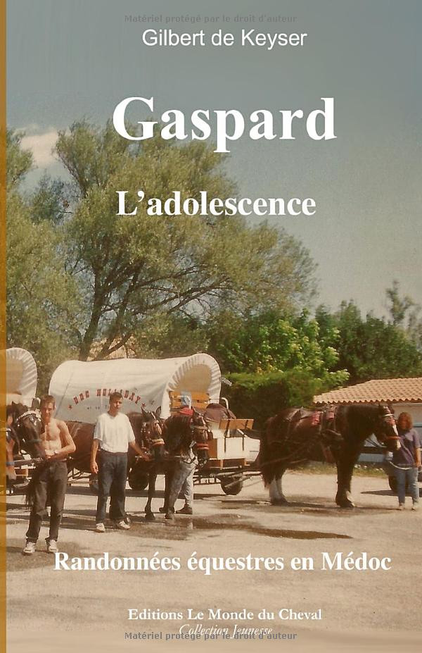 Gaspard - l'adolescence -